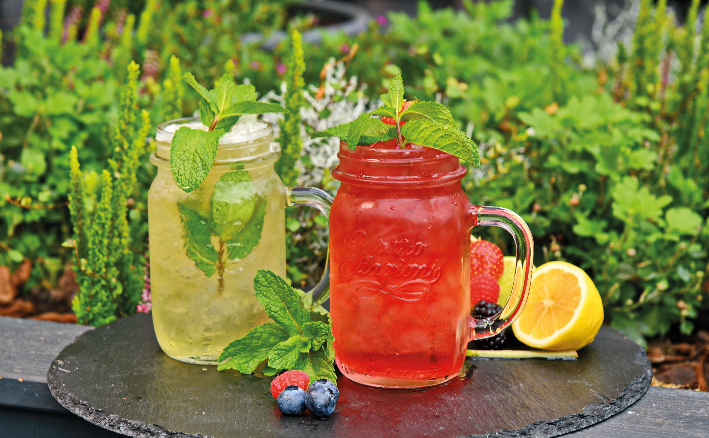 Drink Highlights im Pomodori Alexa 20 JET 4839 Iced Tea Minze und Frucht rgb